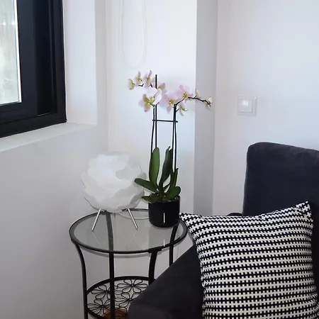 Apartament Santiago Ria Aveiro
